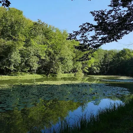 Manoir Perigord Noir/piscine Chauffee/etang&foret Manaurie