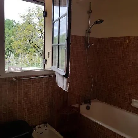 Manoir Perigord Noir/piscine Chauffee/etang&foret Holiday home