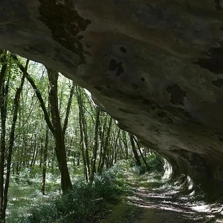 Casa vacanze Manoir Périgord Noir/piscine Chauffée/etang&forêt