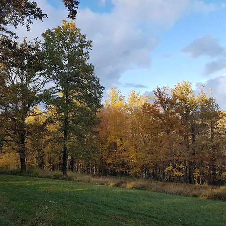 Manoir Périgord Noir/piscine Chauffée/etang&forêt Casa vacanze