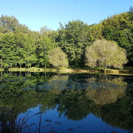 Manoir Périgord Noir/piscine Chauffée/etang&forêt * Manaurie