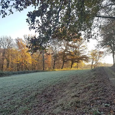 Manoir Périgord Noir/piscine Chauffée/etang&forêt Casa vacanze