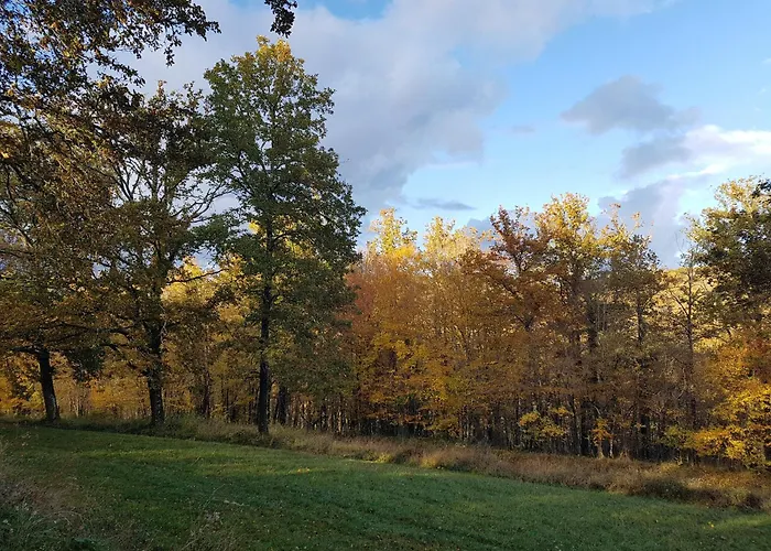 Manoir Perigord Noir/piscine Chauffee/etang&foret Vakantiehuis