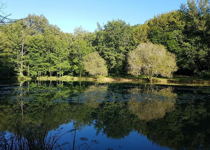 Manoir Perigord Noir/piscine Chauffee/etang&foret * Manaurie